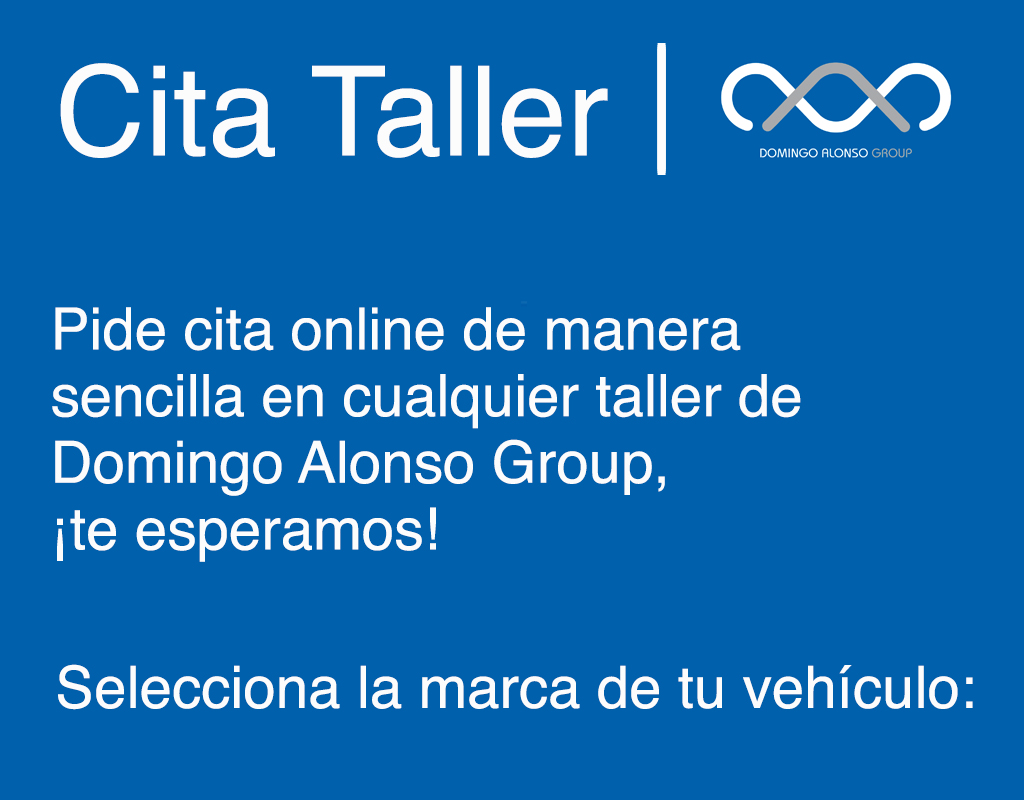 Cita Taller Domingo Alonso Group